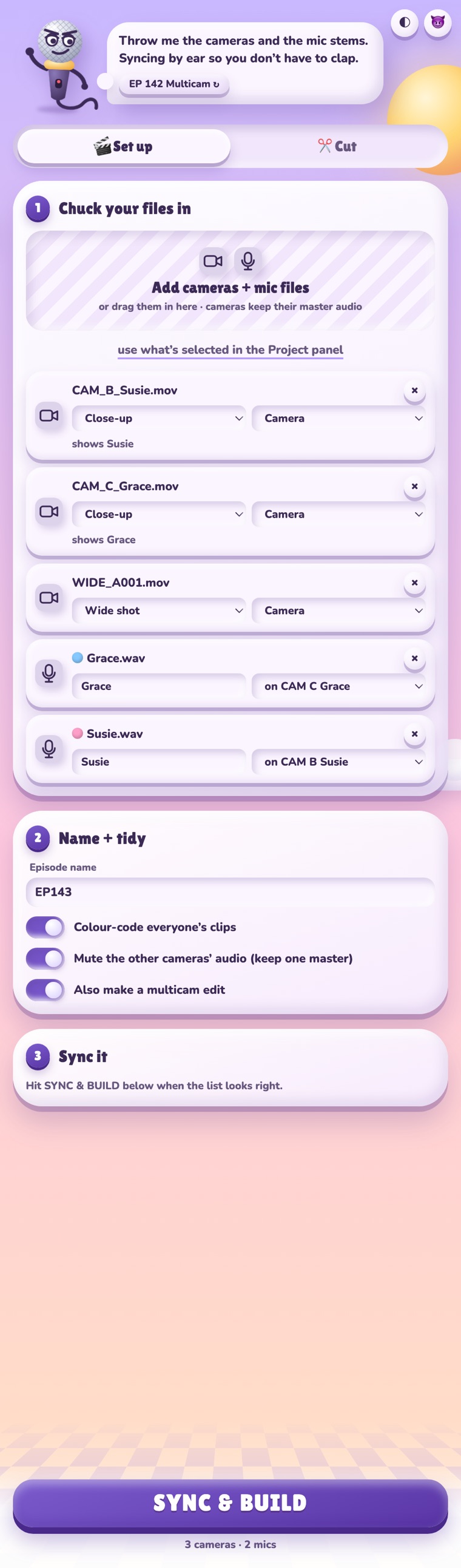 The Set up tab: camera and mic files matched to people, ready to sync